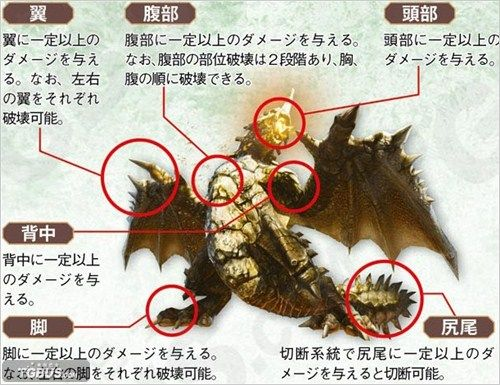 《怪物猎人4》肉质解析：实战制胜关键技巧深度揭秘