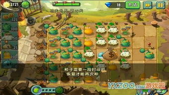 《植物大战僵尸2》三星通关必看！独家技巧助你轻松上分
