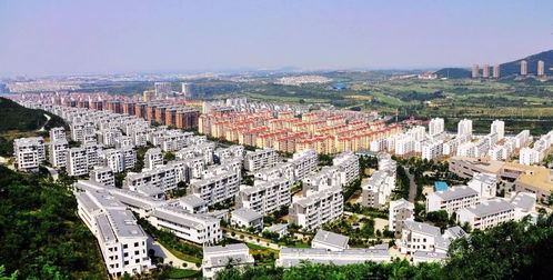 紫苑镇综合症,它与其他城镇有什么区别？