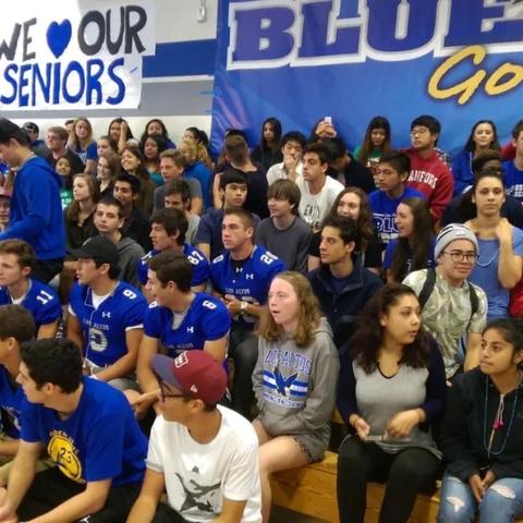 玩转罗省街头赛车：夜间街头极速挑战