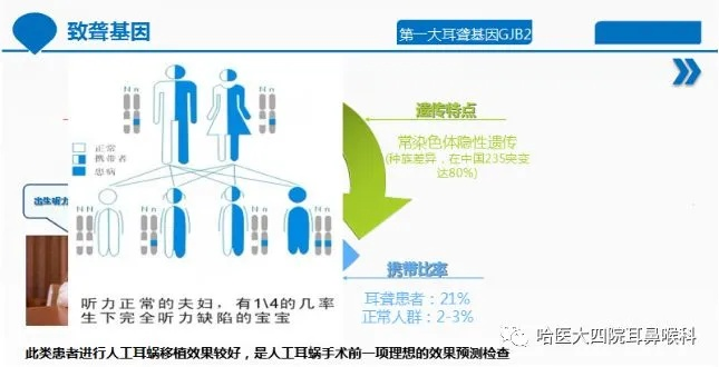 OTCC：解密耳聋基因筛查与产前检查的重要性