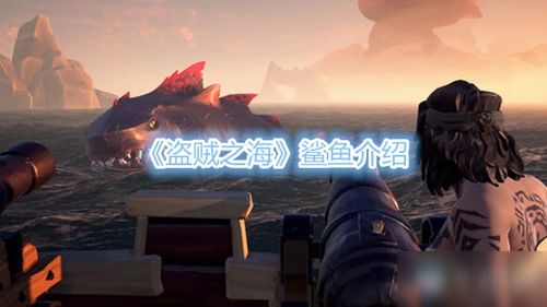 《盗贼之海》试玩体验:画面惊艳,玩法独特,揭秘海上冒险的魅力 《盗贼之海》试玩体验:画面惊艳,玩法独特,揭秘海上冒险的魅力