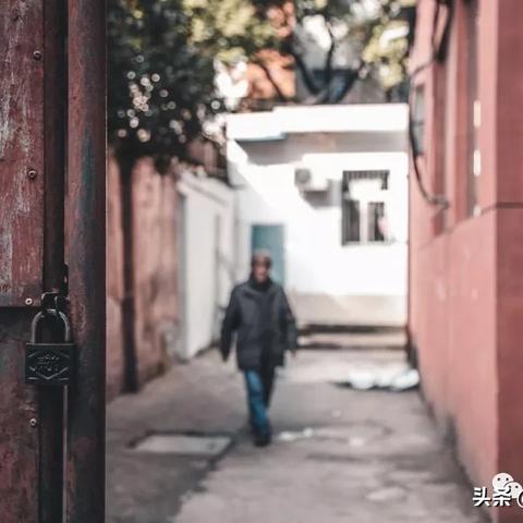 《真三国无双8》全路标地图攻略一览，深度解析必看秘籍