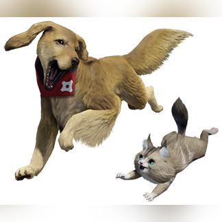 《怪物猎人世界》随从猫全装备解析+高效获取攻略，解锁最强助力！