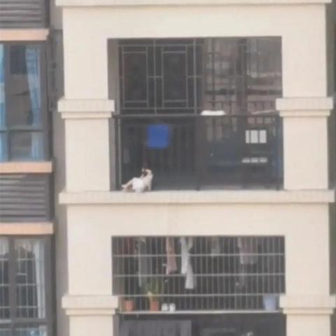 无敌蜘蛛侠,如何掌控飞檐走壁？