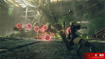 《尼尔机械纪元》武器芯片攻略：新手必看配置优化技巧解析