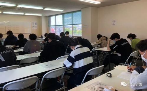 新手必看!模拟挖掘机操作攻略,轻松上手技巧大揭秘 新手必看!模拟挖掘机操作攻略,轻松上手技巧大揭秘