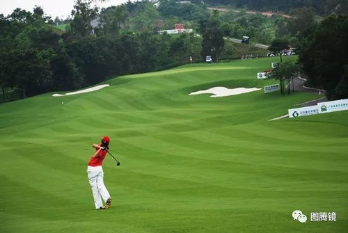 高尔夫之星攻略(球场地形对击球有什么影响) 高尔夫之星攻略(球场地形对击球有什么影响)