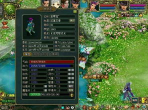 问道单机版7.1（300权限详解）