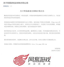 网易游戏频道（近年来有什么成绩）