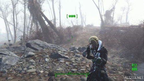 《辐射4》庇护山丘改造攻略：惊艳房屋建造秘籍大揭秘