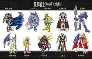 数码宝贝进化攻略：皇家骑士团时空异客路线图深度解析