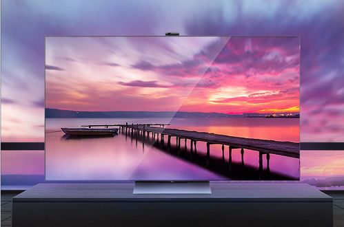 《鸣潮》布兰特声骸攻略：高效选择技巧解析，助你轻松升级