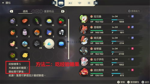《宝可梦传说ZA》道具图鉴深度解析：解锁ZA道具图鉴秘籍攻略