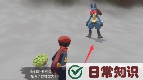 《宝可梦传说Z-A》利欧路捕捉攻略：揭秘高效捕获技巧