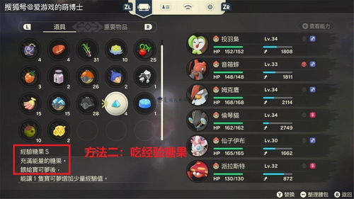 《宝可梦传说ZA》通关阵容攻略：打造最强战队，解锁隐藏秘宝