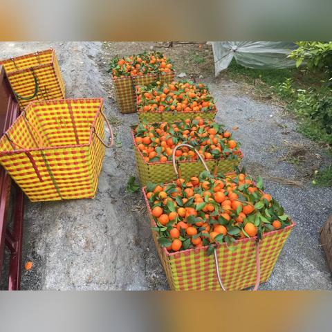 《黑神话：悟空》揭秘！土地庙功能攻略，助你轻松通关！