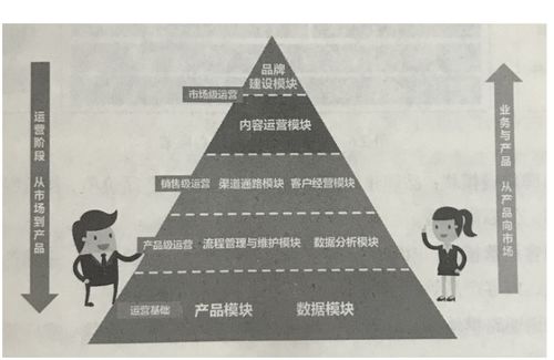 蓝砚突破必备！高效收集全路线攻略揭秘