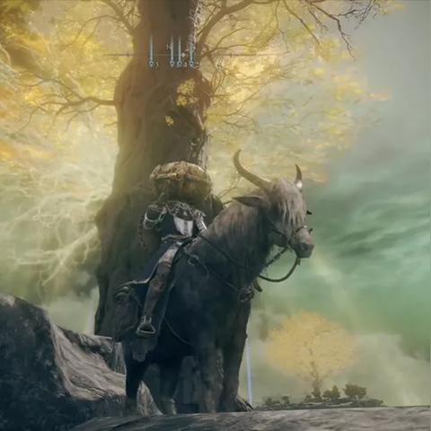 《艾尔登法环》黄金树幽影碎片攻略：高效获取秘籍大揭秘