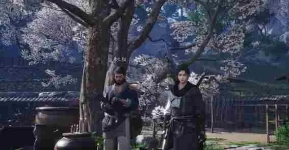 《燕云十六声》对话技巧揭秘：高效甄获攻略，轻松结交好友