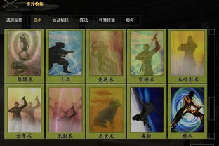 《太阁立志传5 DX》高难度主角卡牌速成攻略，轻松解锁隐藏角色！