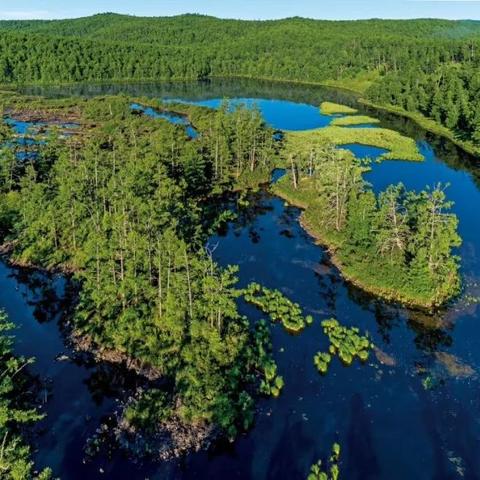 《秘境战盟》Steam首发！独家多人地下城探险，体验全新冒险规则！