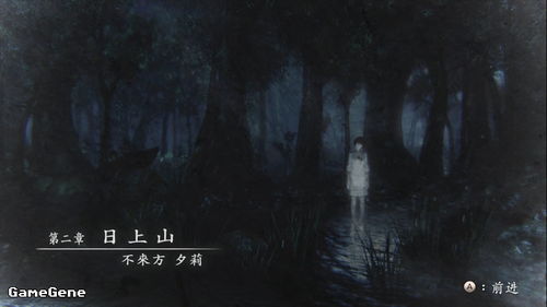 《零：濡鸦之巫女》第一章攻略：残影流程揭秘，新手必看技巧解析