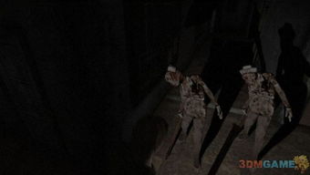 《寂静岭f》黑屏闪退？解锁游戏畅玩秘籍大揭秘！