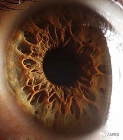 羊蹄山魂突破揭秘:瞳孔反射细节震撼,视觉盛宴新体验 羊蹄山魂突破揭秘:瞳孔反射细节震撼,视觉盛宴新体验