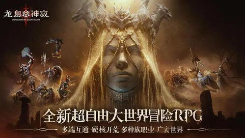 《龙息：神寂》西幻RPG，揭秘新宠背后的独特魅力！