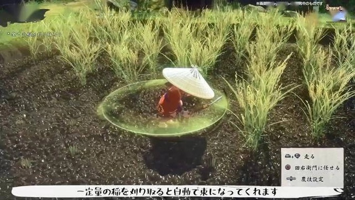 稻姬抗毒攻略：毒烟之谷奇效新解法，解锁神秘防御秘籍