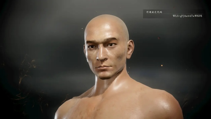 卧龙苍天陨落刘德华捏脸秘籍:独家分享,打造个性角色! 卧龙苍天陨落刘德华捏脸秘籍:独家分享,打造个性角色!