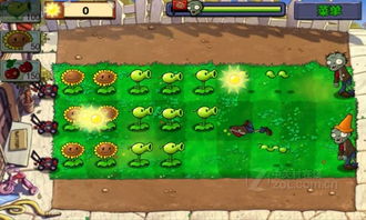 《植物大战僵尸重植版》畅玩必备！揭秘最低配置，轻松体验绿色战斗乐趣