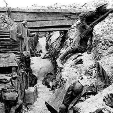 《三国志14》全政策解析：深度攻略助你称霸乱世新秘籍