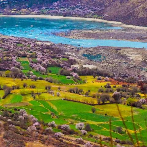 3月6日春日浪漫启航！《时空绘旅人》「春色踏情日」活动，探索新玩法！