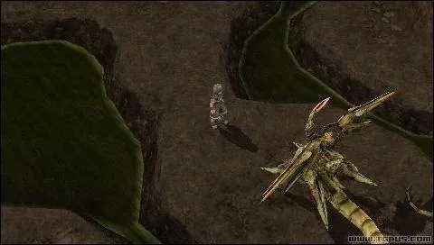 寂静岭f灵刀传说地藏秘境攻略，探秘神秘藏匿之地