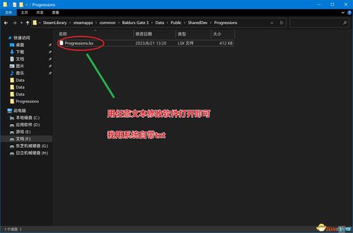 《博德之门3》UI调整攻略：轻松实现全英文界面，优化体验新高度
