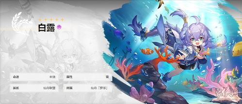 崩坏星穹铁道白露遗器攻略：如何选择最佳遗器？解锁最强战斗力！