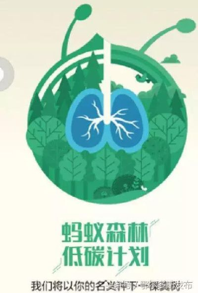 “五”限狂欢!《第五人格》携手蚂蚁森林绿色联动,开启环保新篇章 “五”限狂欢!《第五人格》携手蚂蚁森林绿色联动,开启环保新篇章