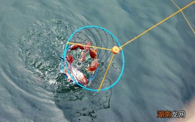 华夏虾蟹钓法攻略，揭秘绝密垂钓胜地