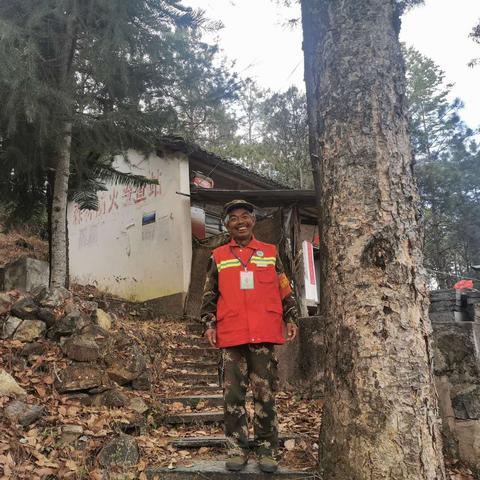 大唐林中王者结局攻略揭秘:解锁无悔华夏新境界 大唐林中王者结局攻略揭秘:解锁无悔华夏新境界