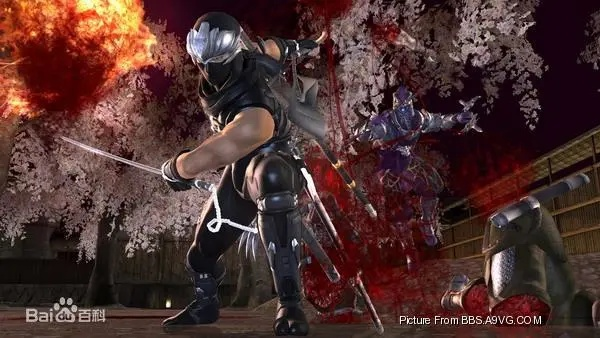 《忍龙2黑章》画面模糊？优化攻略助你视觉盛宴升级