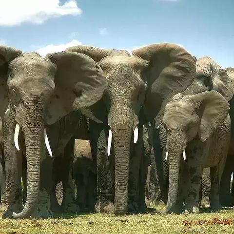 独家揭秘:千万粉丝主播生存法则,解锁独自生活新境界 独家揭秘:千万粉丝主播生存法则,解锁独自生活新境界