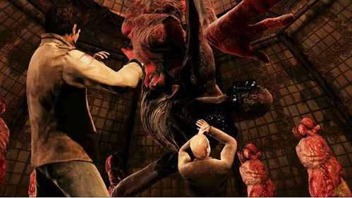 《寂静岭f》轮椅构筑攻略：深度解析，打造完美游戏体验