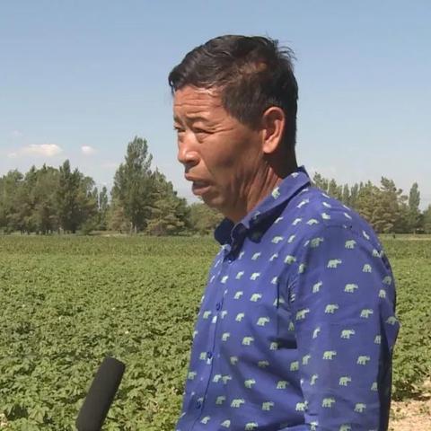 《模拟农场25》轻松切换中文教程，体验本土化游戏乐趣