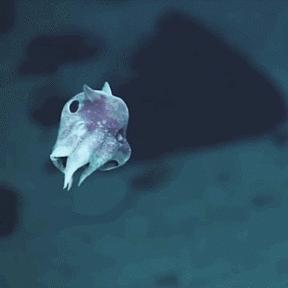 蔚蓝星球草团仙人新技能：神秘元素觉醒，属性大提升