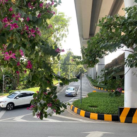 羊蹄山神庙全山位置揭秘！独家谜题解法攻略，轻松通关秘籍！