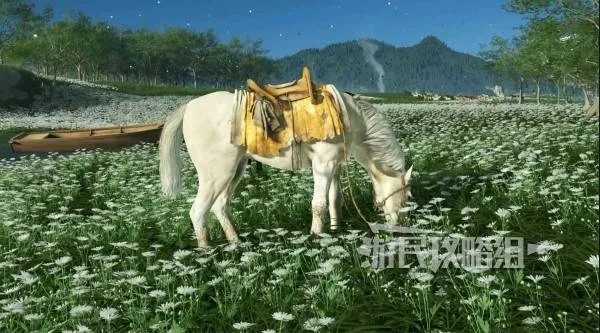 羊蹄山马种揭秘：独特命名技巧助你驾驭神驹