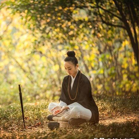 速刷攻略揭秘：杜甫王维白居易在《无悔华夏》中的高效玩法技巧