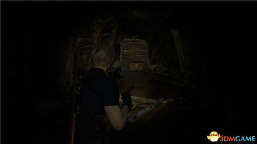 《生化危机4》虫巢任务攻略：高效通关虫巢全流程解析，新手必看！